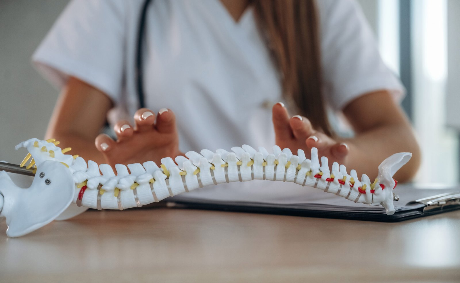 Hands are on the spine model. Professional female doctor in the clinic indoors.