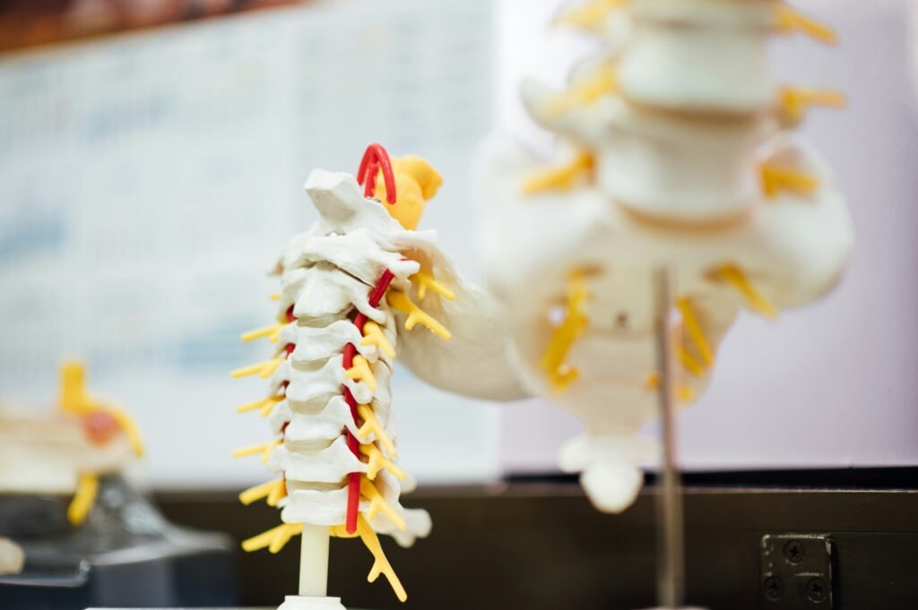 Current image: Spine Hospital Bengaluru